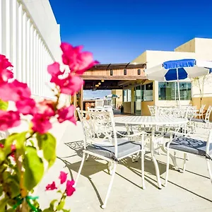 12 Bees Hotel